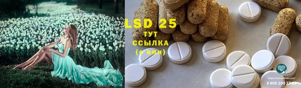 MESCALINE Волосово