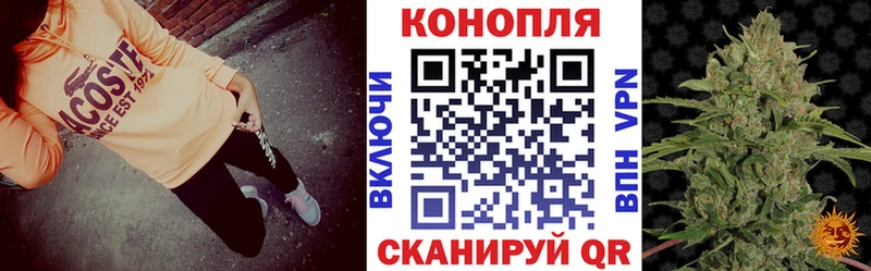 Купить где  Электроугли  Конопля Bruce Banner 